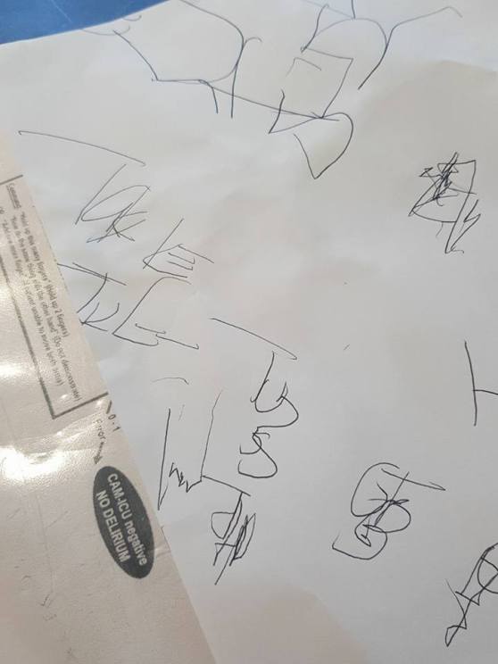 25396111_10156027931193223_946361129761396537_n